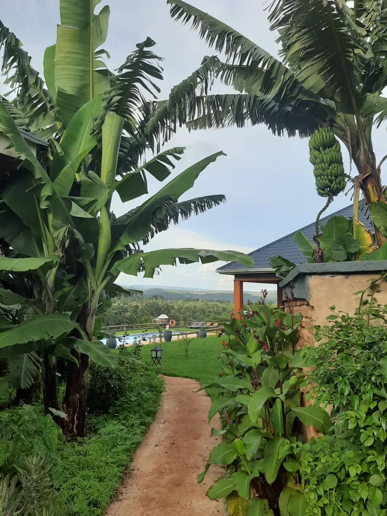 Photo du lodge Baghayo Garden Suites en Tanzanie avec Vie Sauvage