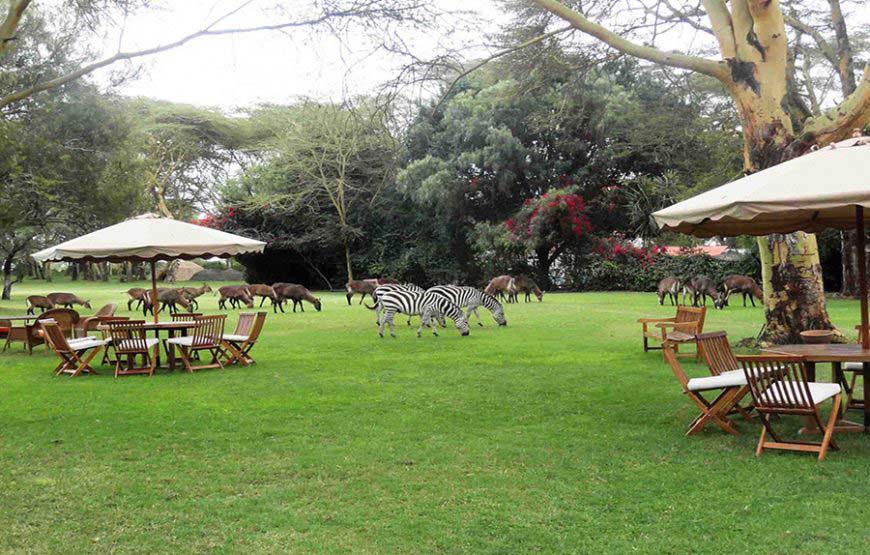 Photo du lodge Lake Naivasha Country Club au Kenya avec Vie Sauvage