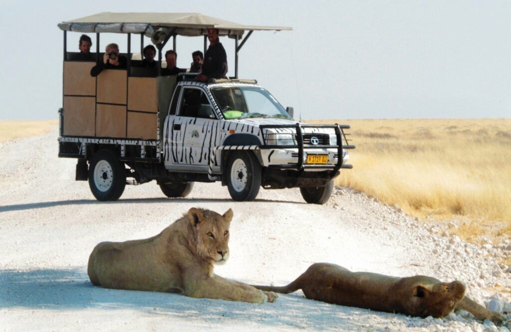 namibie-etosha-safari-camp